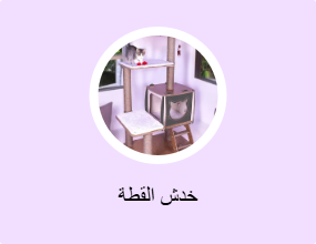 خدش القطة