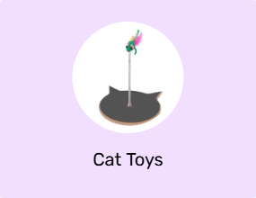 Cat Toys