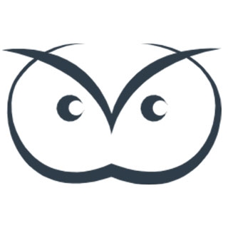 DeepOwls logo