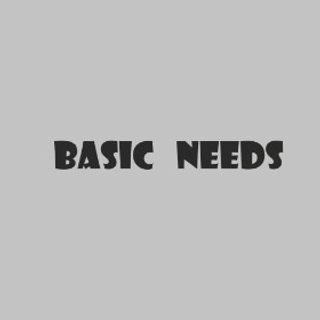 Basic Needs logo