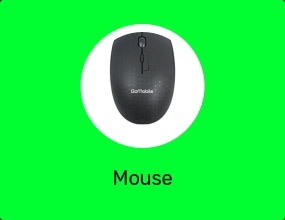 Mouse