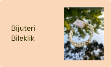 Bijuteri Bileklik