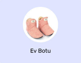 Ev Botu