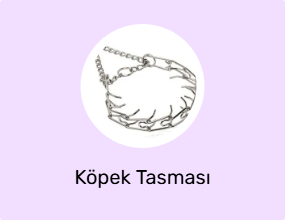 Köpek Tasması