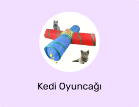 Kedi Oyuncağı