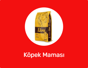 Köpek Maması