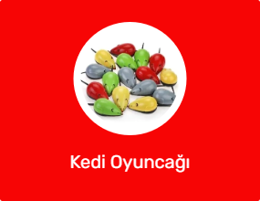 Kedi Oyuncağı