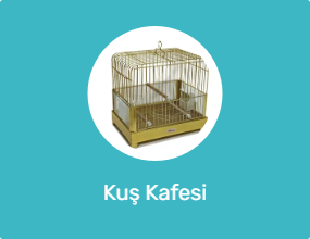 Kuş Kafesi