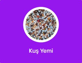 Kuş Yemi