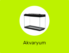 Akvaryum