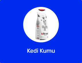 Kedi Kumu