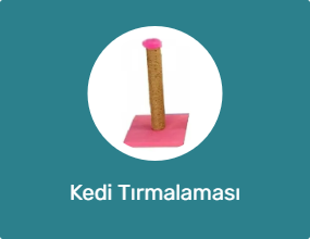 Kedi Tırmalaması