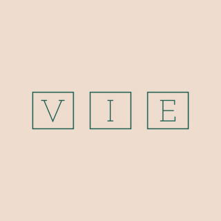 VIE Co. logo