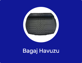 Bagaj Havuzu