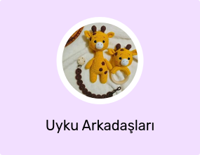 Uyku Arkadaşları