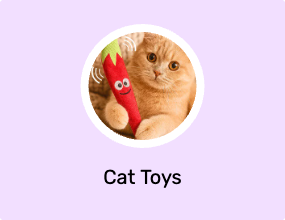 Cat Toys