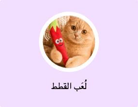 لُعَب القطط