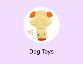 Dog Toys