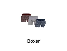 Boxer
