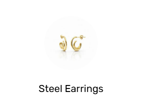 Steel Earrings