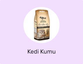 Kedi Kumu
