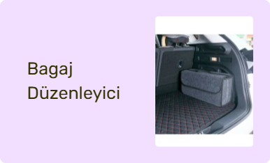 Bagaj Düzenleyici