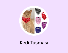 Kedi Tasması