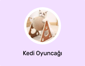 Kedi Oyuncağı