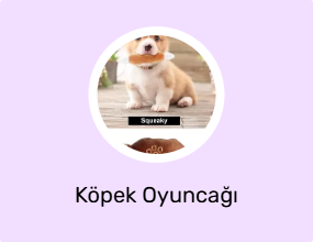 Köpek Oyuncağı