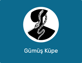 Gümüş Küpe