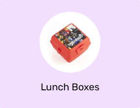 Lunch Boxes