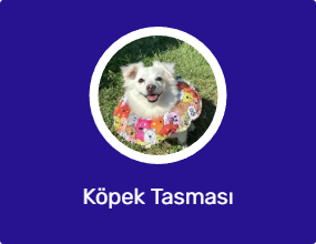 Köpek Tasması