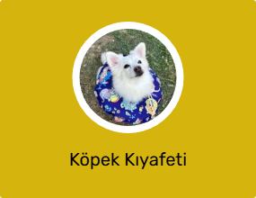 Köpek Kıyafeti