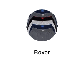 Boxer