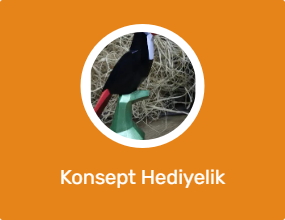 Konsept Hediyelik