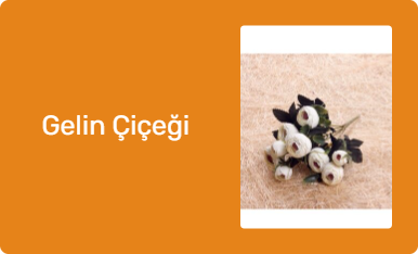 Gelin Çiçeği