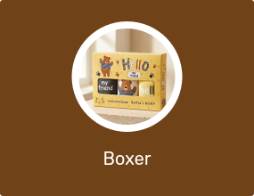 Boxer