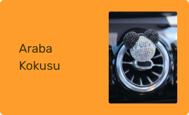 Araba Kokusu