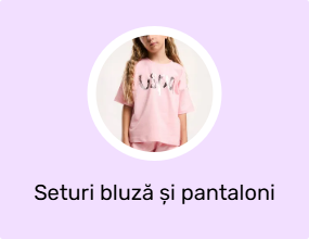 Seturi bluză și pantaloni