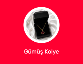 Gümüş Kolye