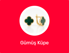 Gümüş Küpe