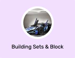 Building Sets & Block Toys