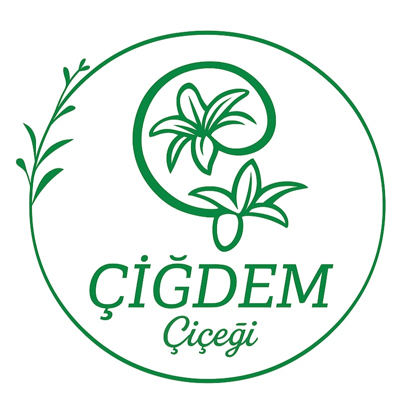 ÇİĞDEMÇİÇEĞİ