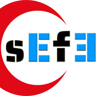 AYSEFE logo