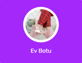 Ev Botu