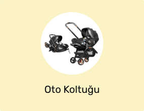 Oto Koltuğu
