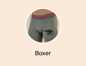 Boxer