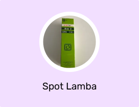 Spot Lamba