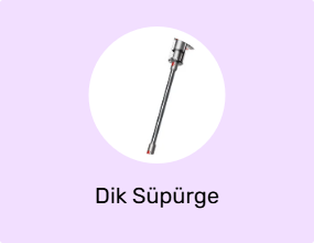 Dik Süpürge