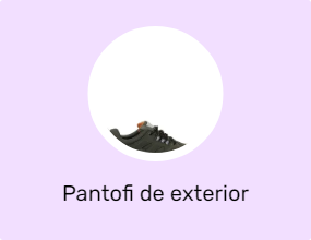Pantofi de exterior